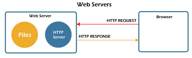How do websites work?